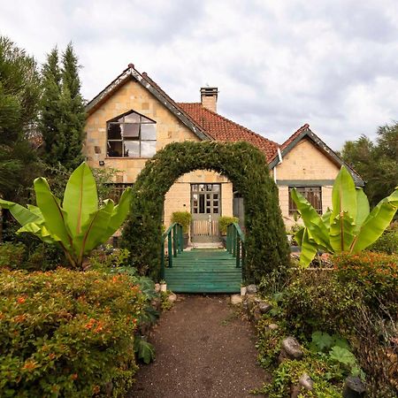 Mount Kenya Farm Stay 纳纽基 外观 照片