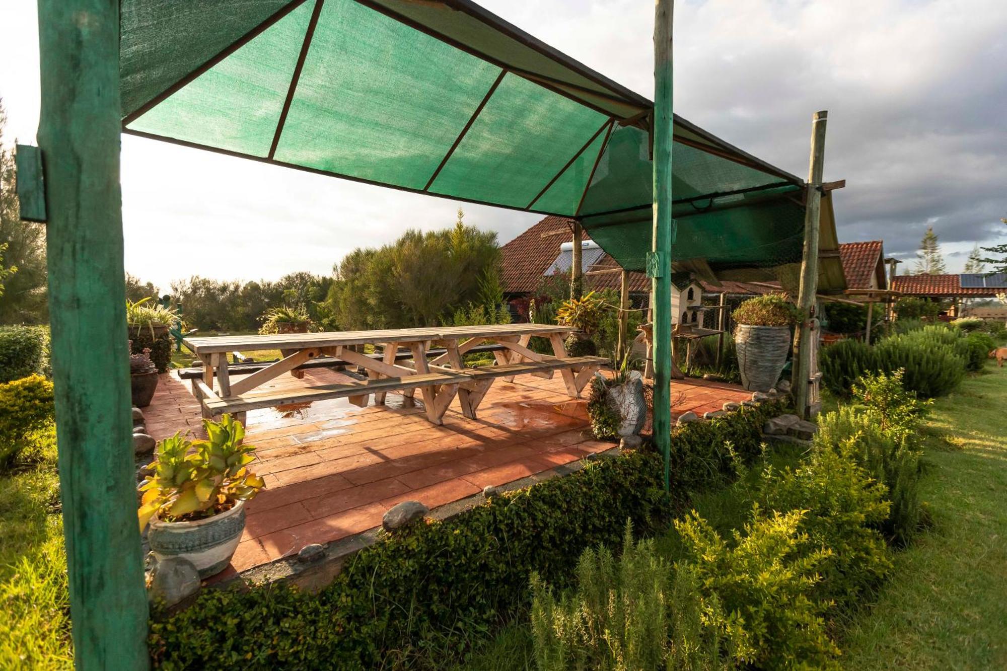 Mount Kenya Farm Stay 纳纽基 外观 照片