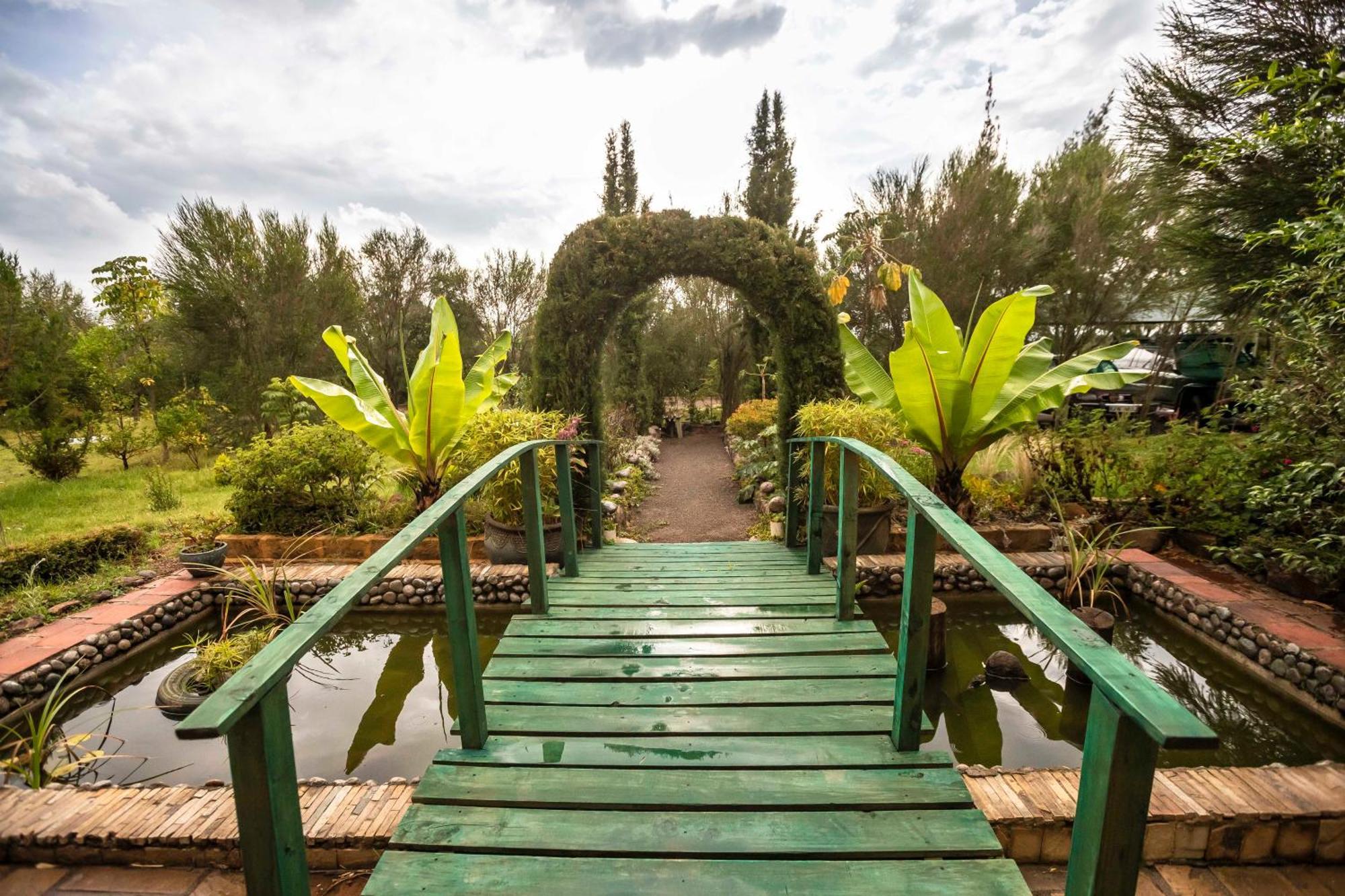 Mount Kenya Farm Stay 纳纽基 外观 照片